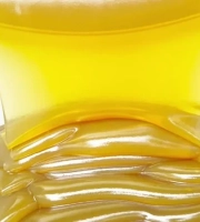 تولید کننده گریس صنعتی زانیس